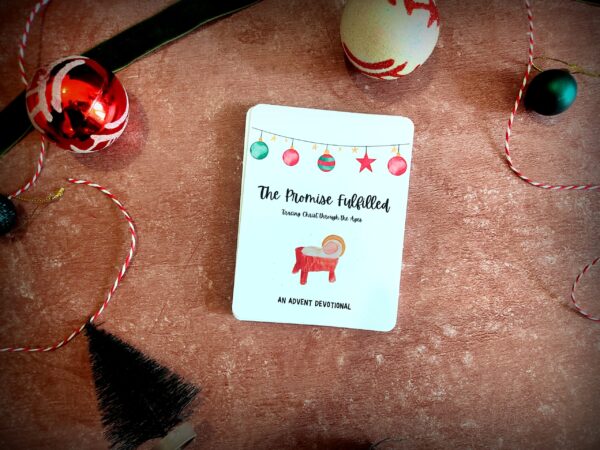 IMG_20231015_151824 (1) IMG 20231015 151824 1 scaled