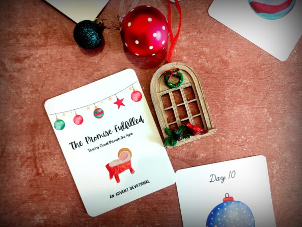 IMG_20231015_152225 (1) IMG 20231015 152225 1 scaled