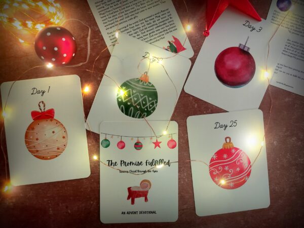 IMG_20231015_153711 (2) IMG 20231015 153711 2 scaled