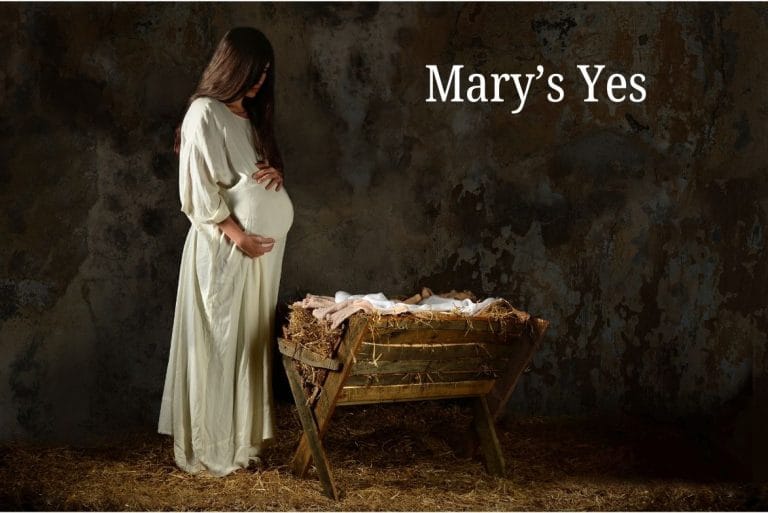 Mary's Yes 1 Website Posts 1