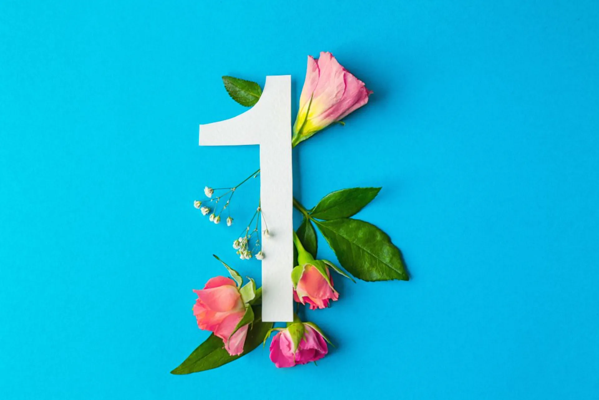 The One Thing 1 Website Posts 4 1