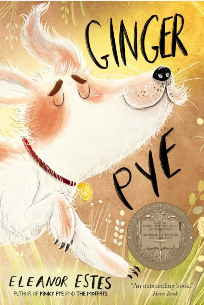 Grade 1 First Novels to Read Aloud (Ages 6 to 7) 40 WhatsApp Image 2026 09 14 at 3.35.34 PM